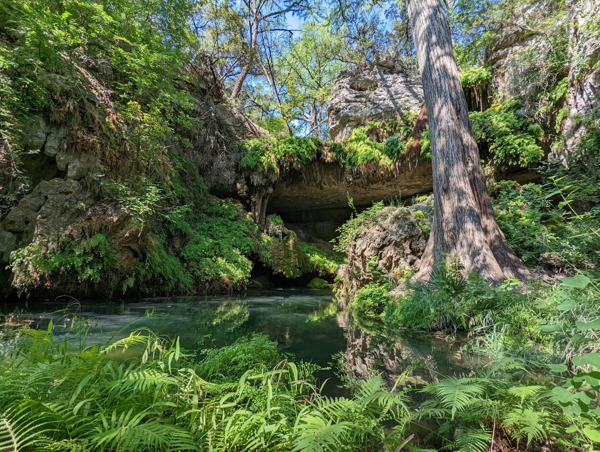 Lugares Westcave Outdoor Discovery Center