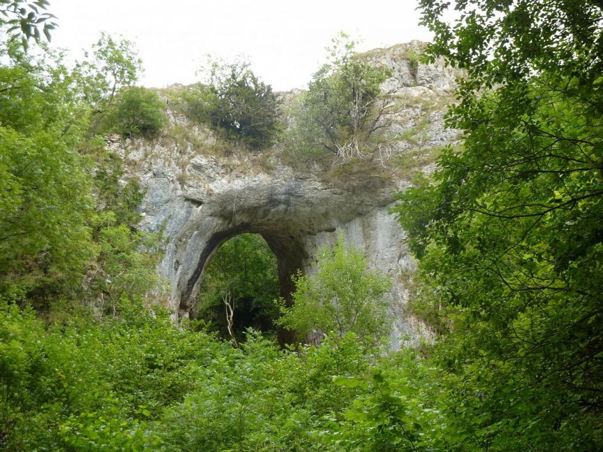 Place Reynards Cave