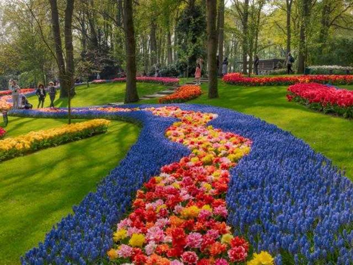 Lugar Keukenhof