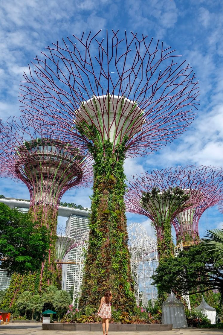 Places Gardens by the Bay MRT Station (TE22)