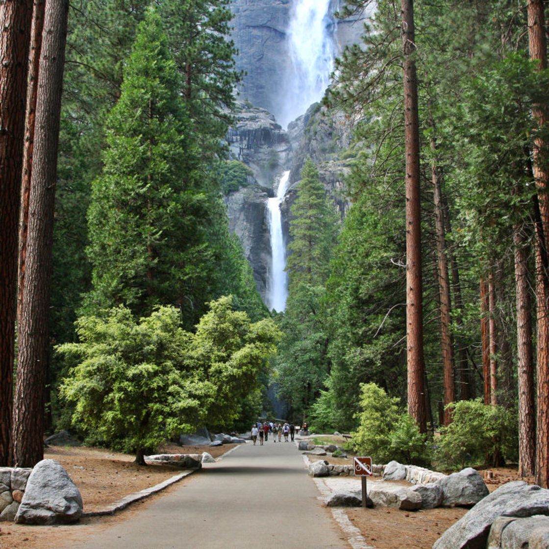 Places Yosemite Falls