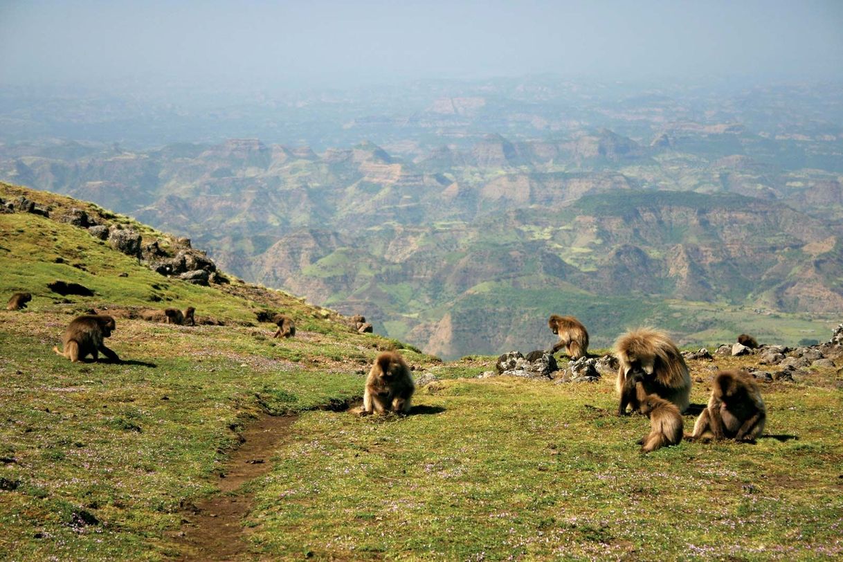 Place Simien Mountains