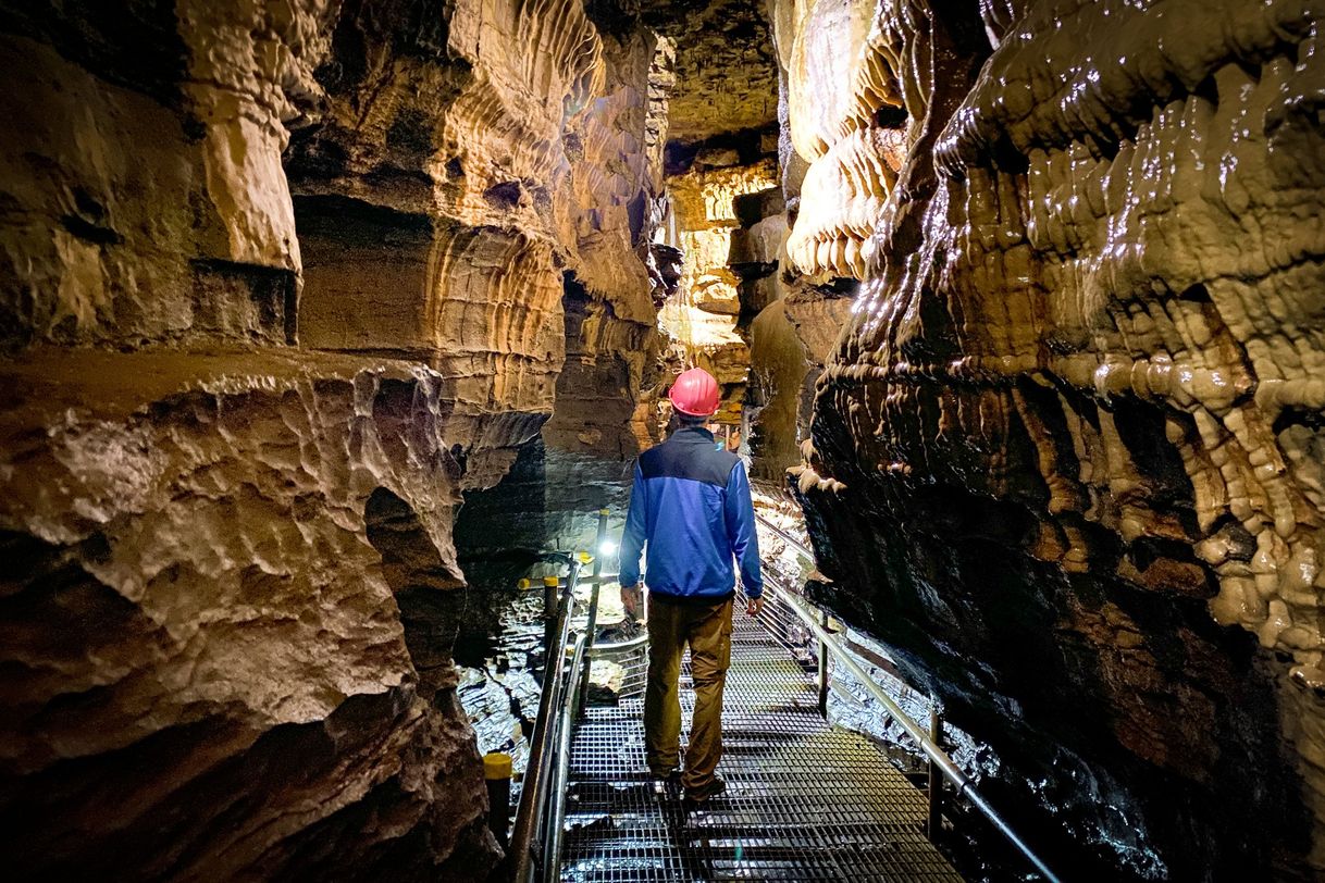 Place White Scar Caves