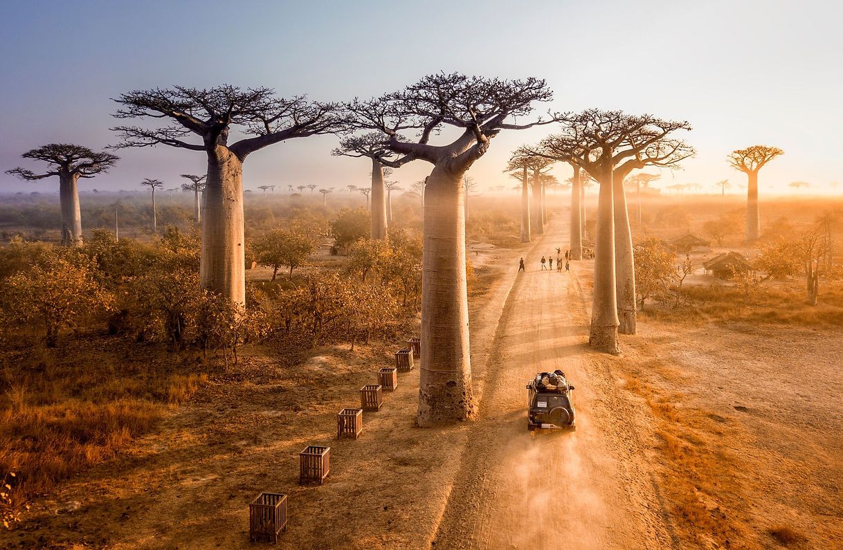 Lugar Avenida de los Baobabs