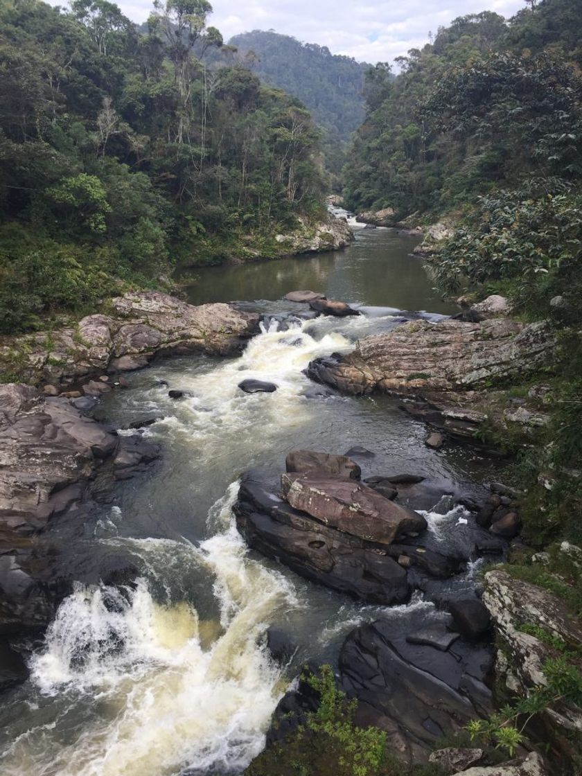 Places Ranomafana National Park