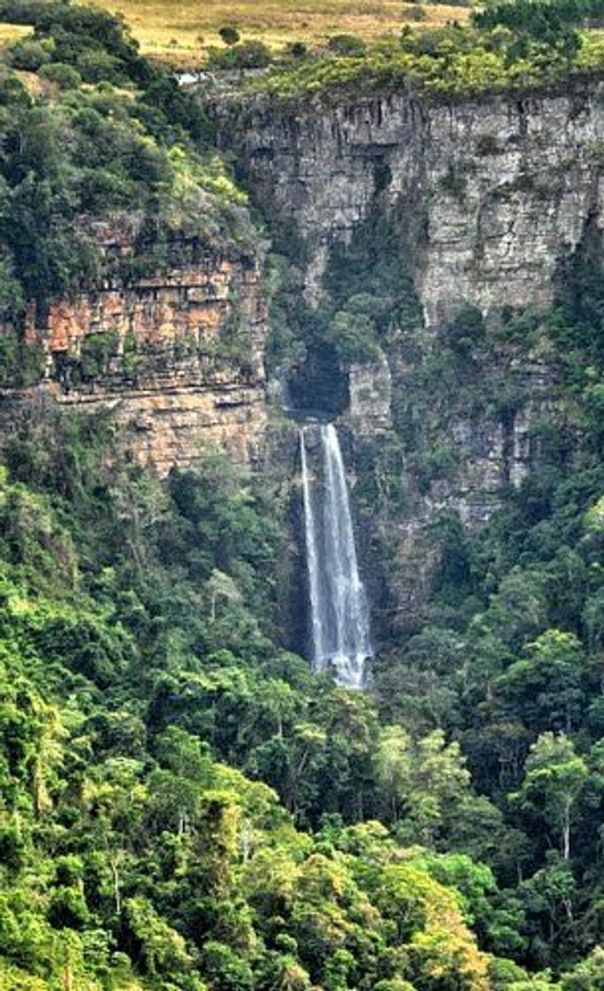 Places Fraser Falls