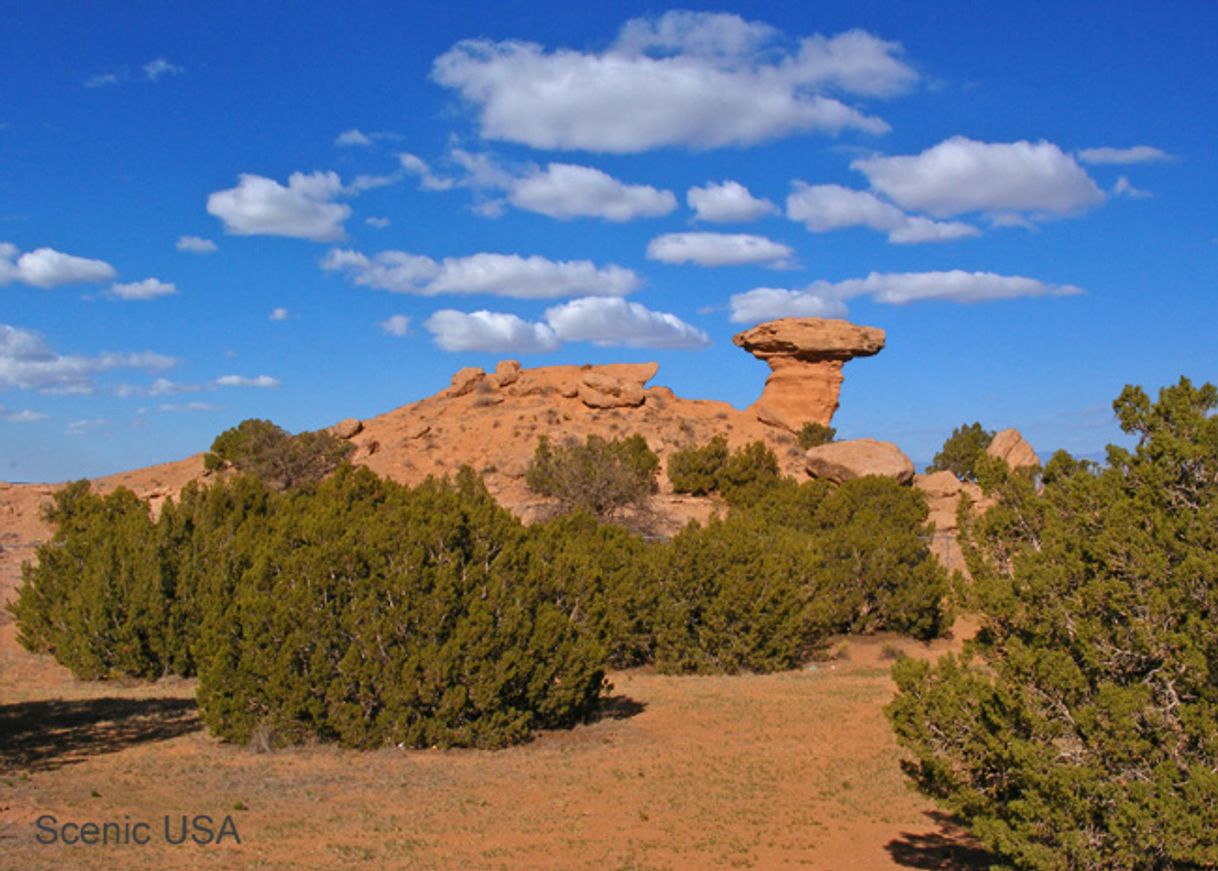 Place Camel Rock