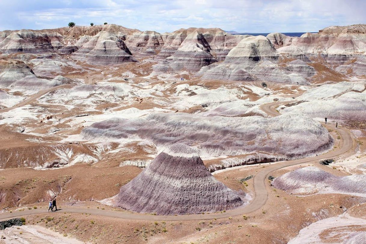 Lugar Petrified Forest National Park