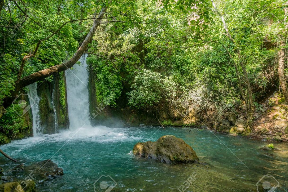 Places Hermon Stream Nature Reserve