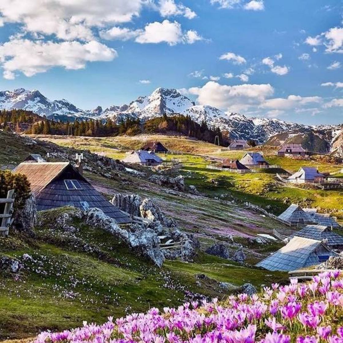 Place Velika Planina