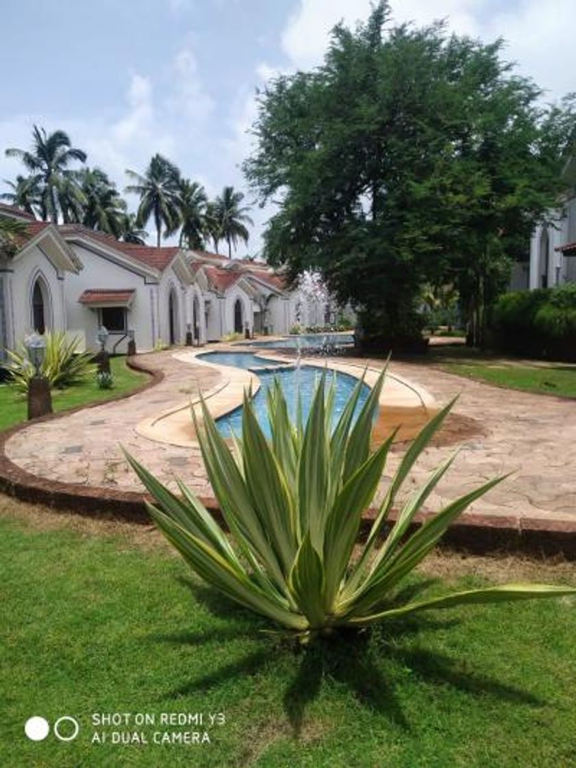 Place Revora Garden