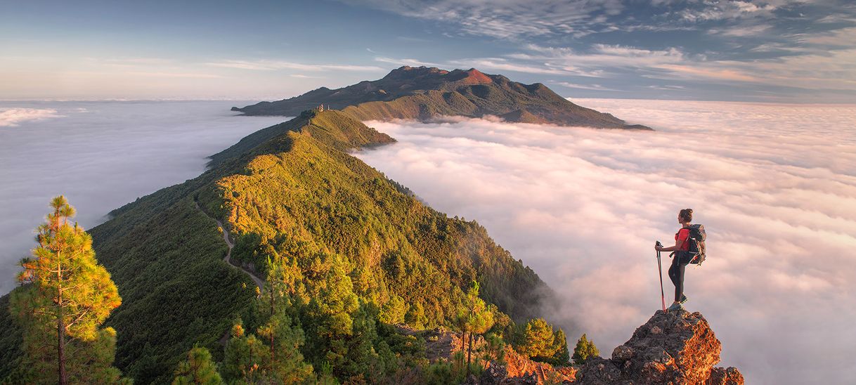 Lugar La Palma