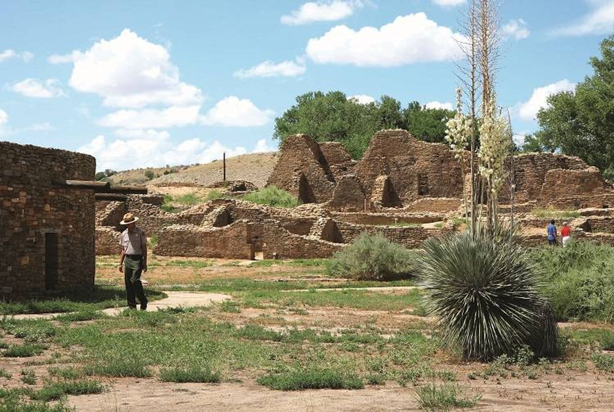 Place Aztec Ruins National Monument