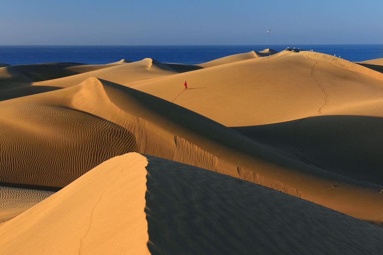 Place Dunas de Maspalomas