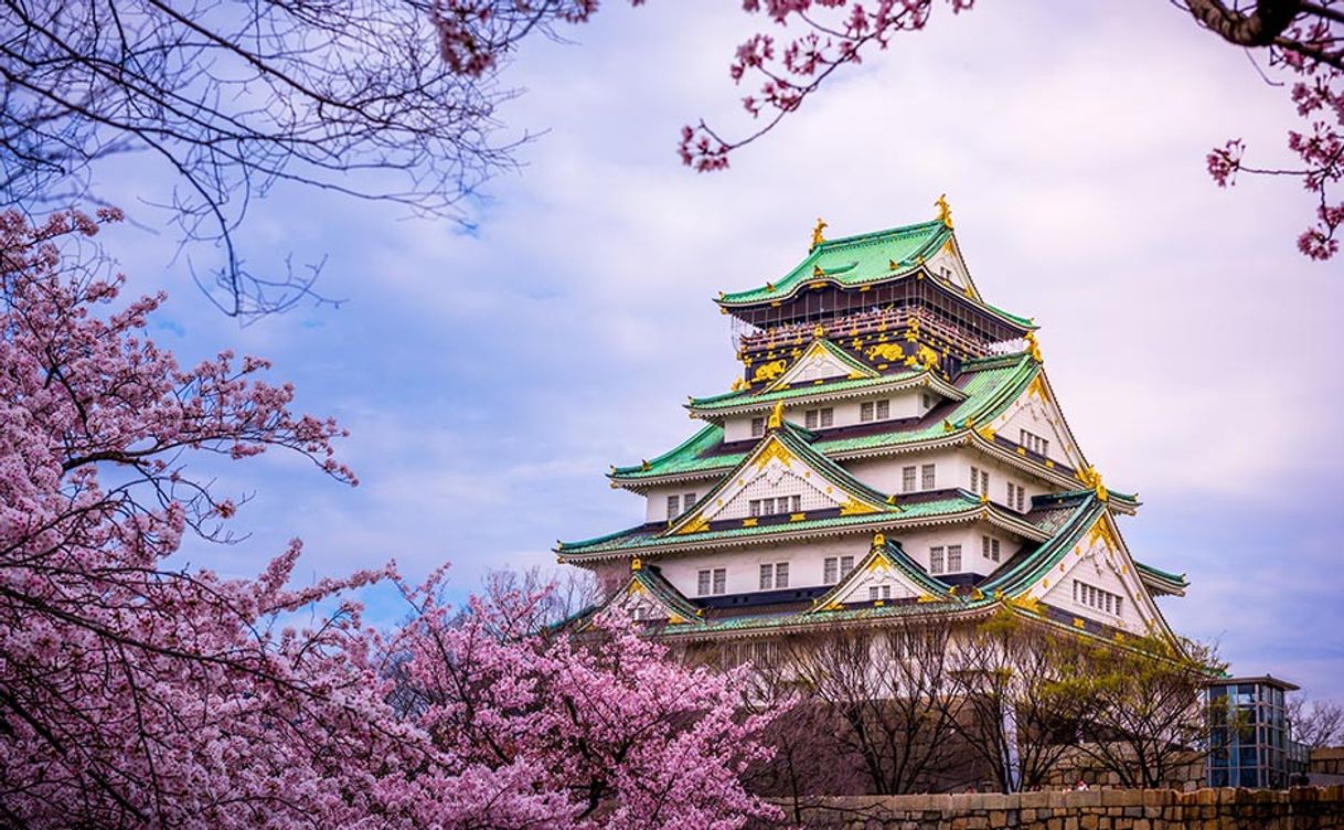 Place Osaka Castle