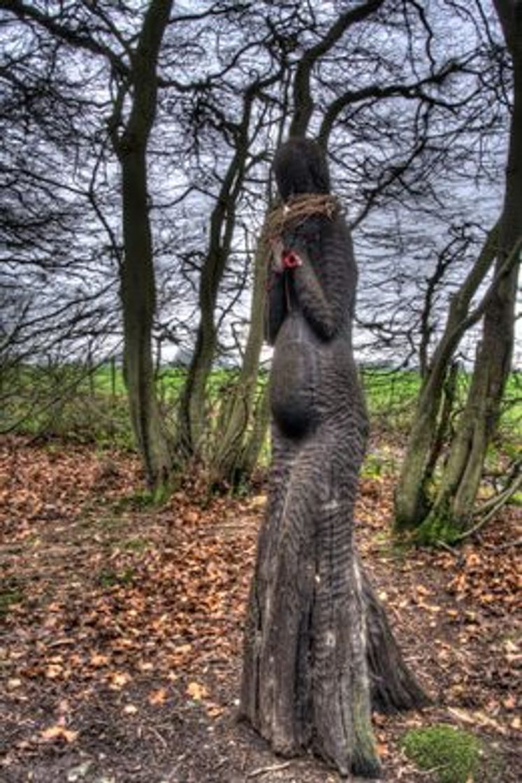 Places Lady in the Woods Sculpture