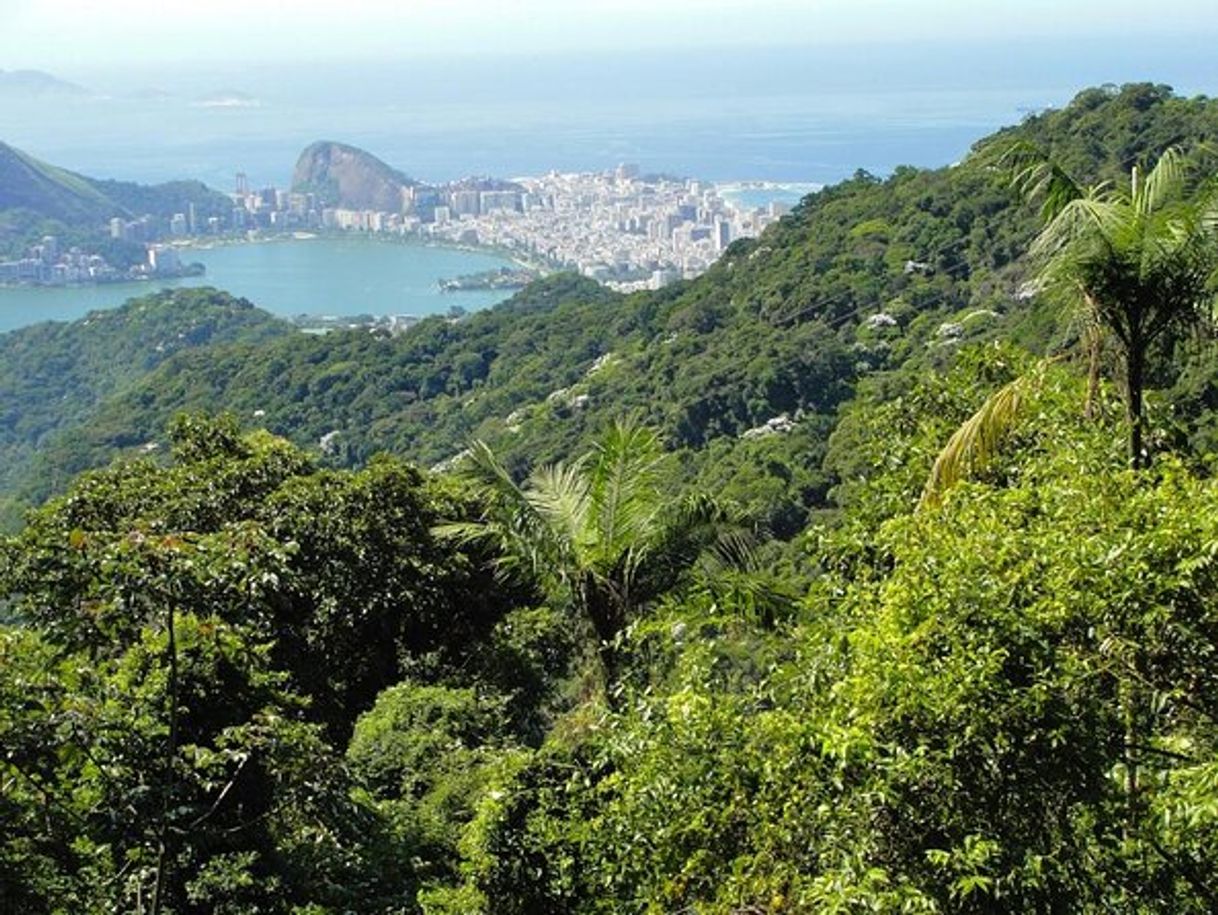 Lugar Tijuca National Park