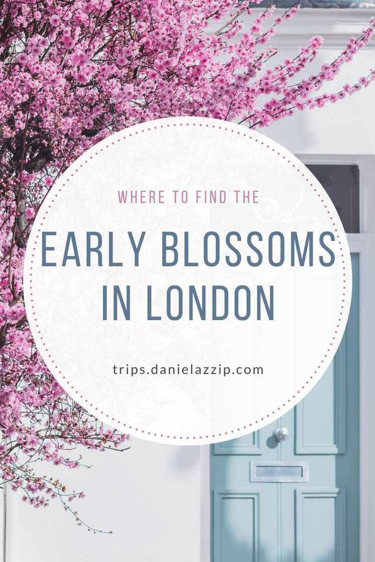 Fashion READ THE BLOG - Where to find the early blossoms in London