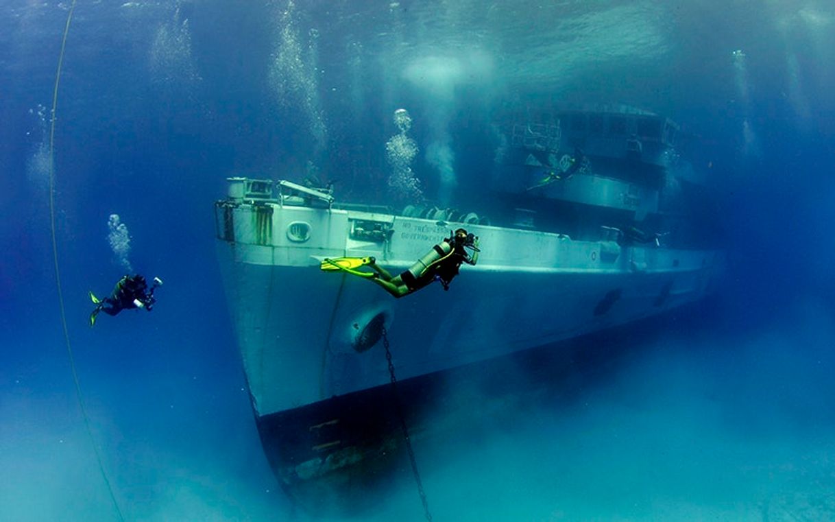 Places Kittiwake Shipwreck & Artificial Reef