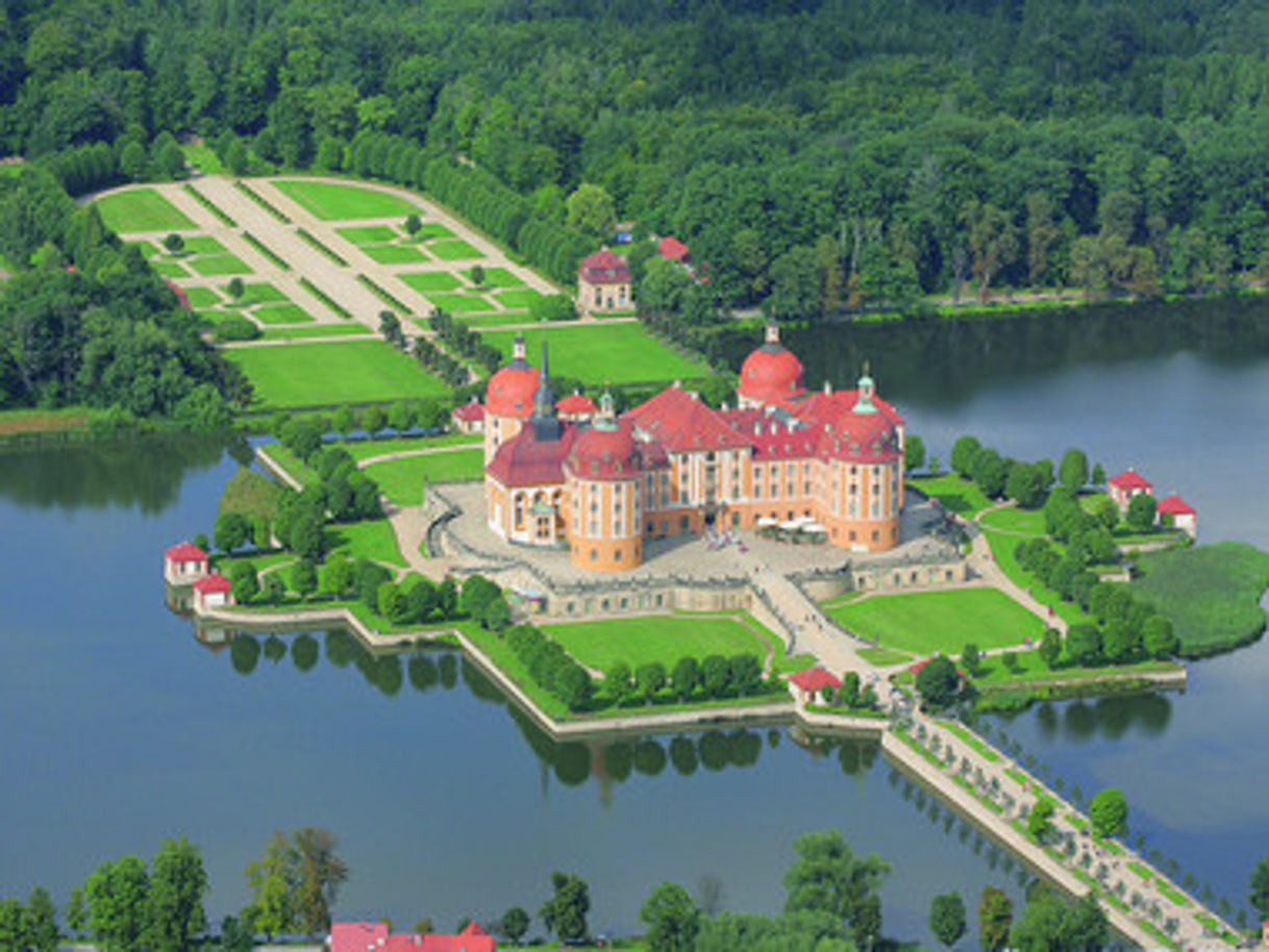 Lugares Moritzburg Castle