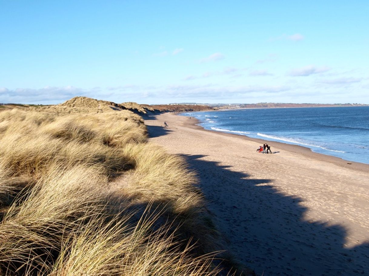 Places Warkworth Beach