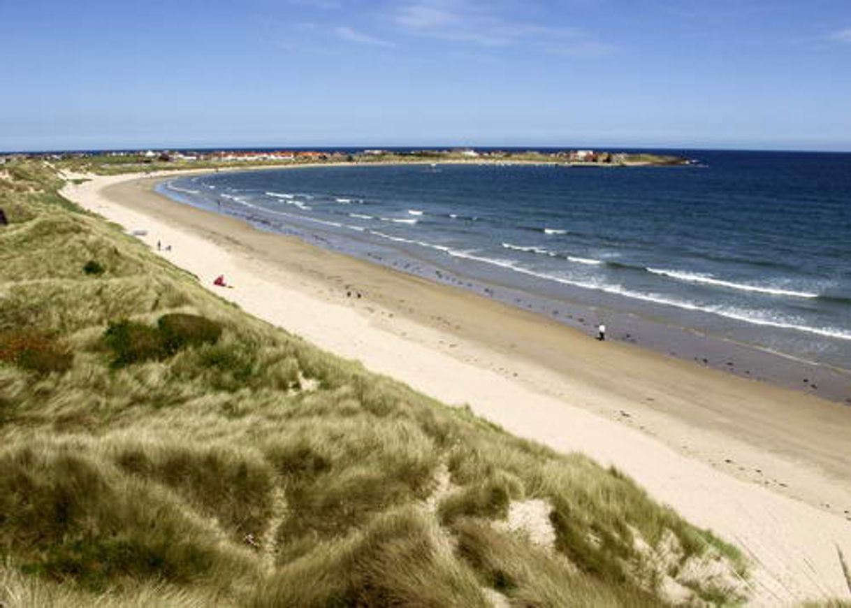 Lugar Beadnell Bay Beach