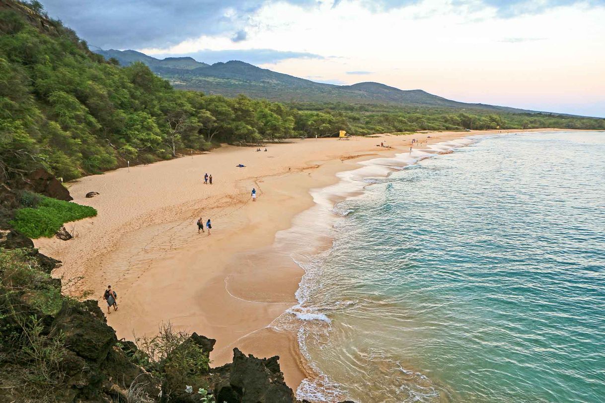 Place Mākena State Park