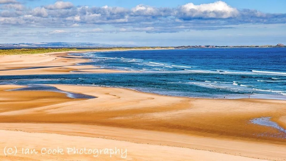 Places Budle Bay