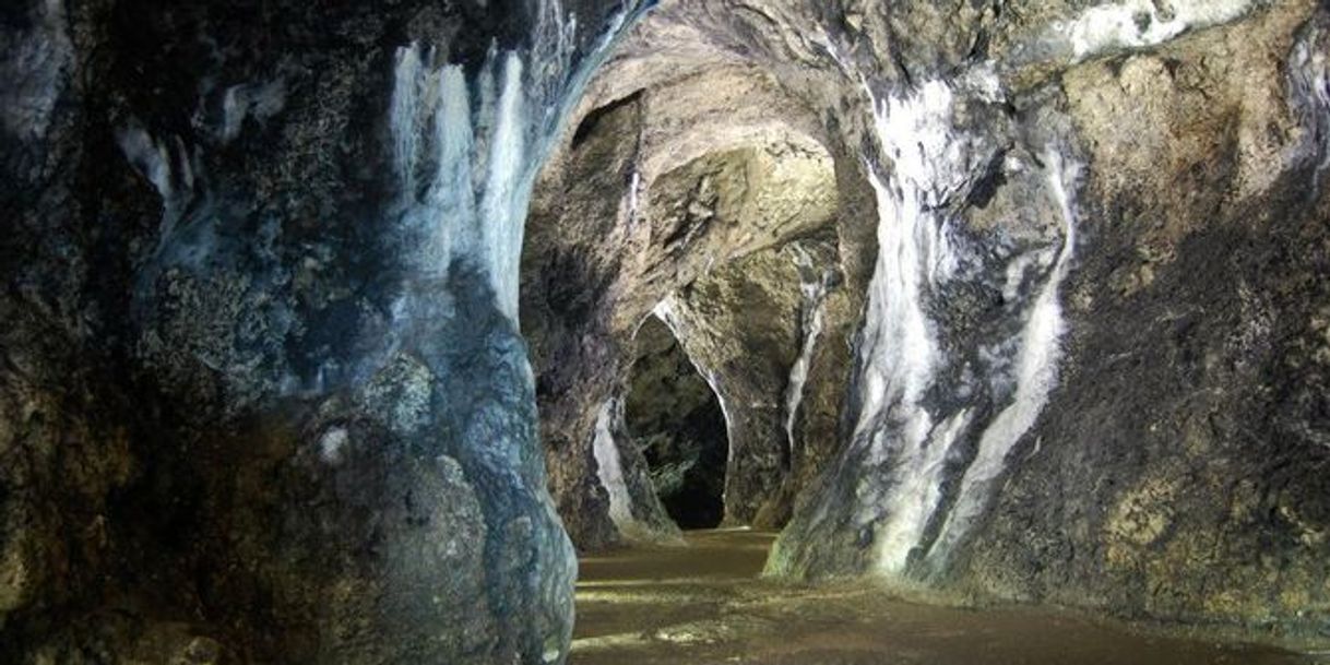 Places Łokietek Cave