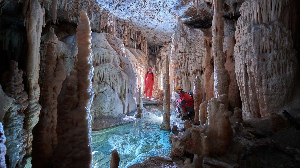 Lugar Postojna Cave