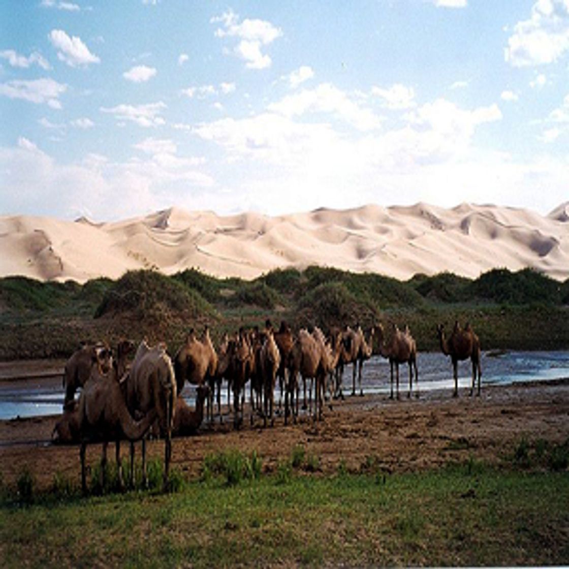 Place Gobi Gurvan Saikhan National Park