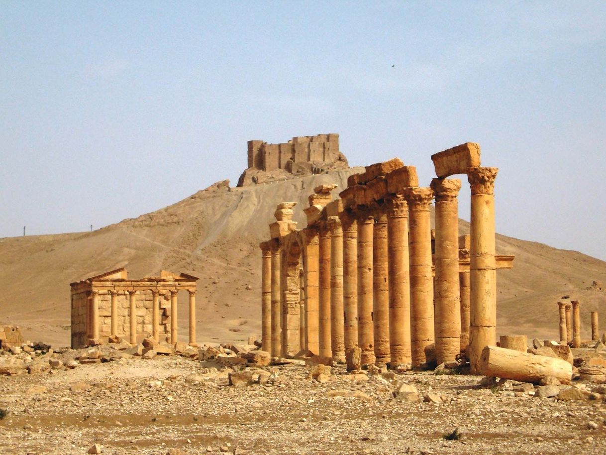 Lugares Palmyra