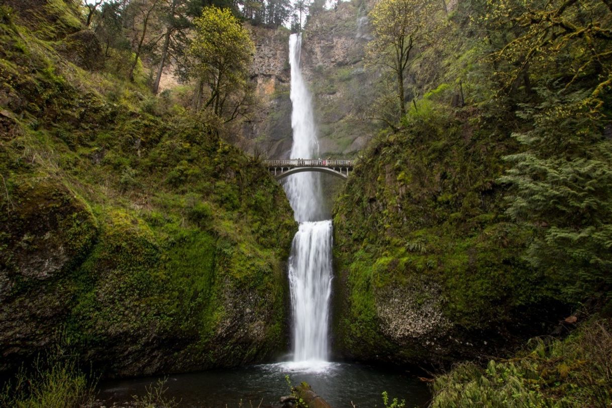 Lugares Multnomah Falls