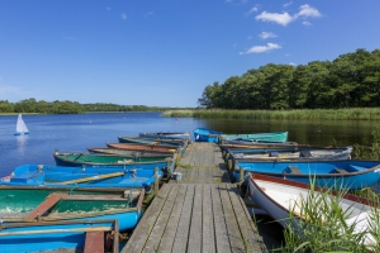 Places Filby Broad