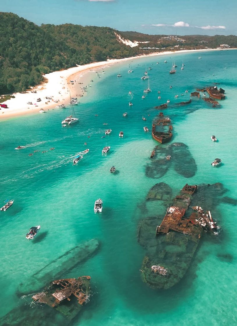 Places Tangalooma Wrecks