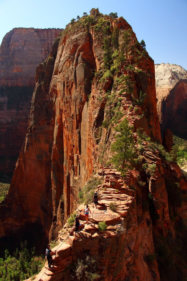 Places Angels Landing