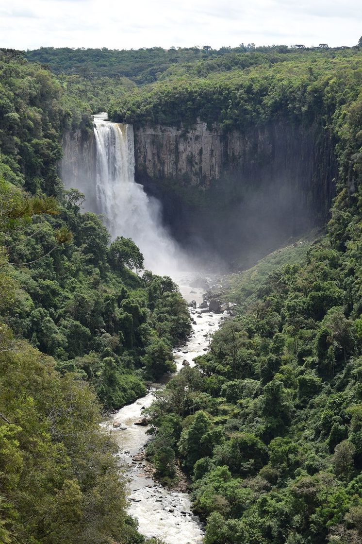 Place Salto São João