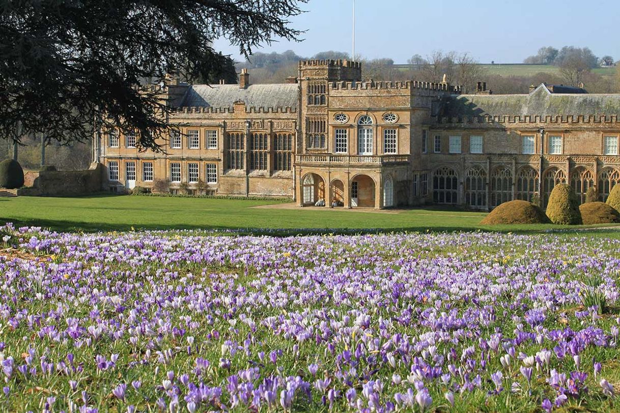 Places Forde Abbey House and Gardens