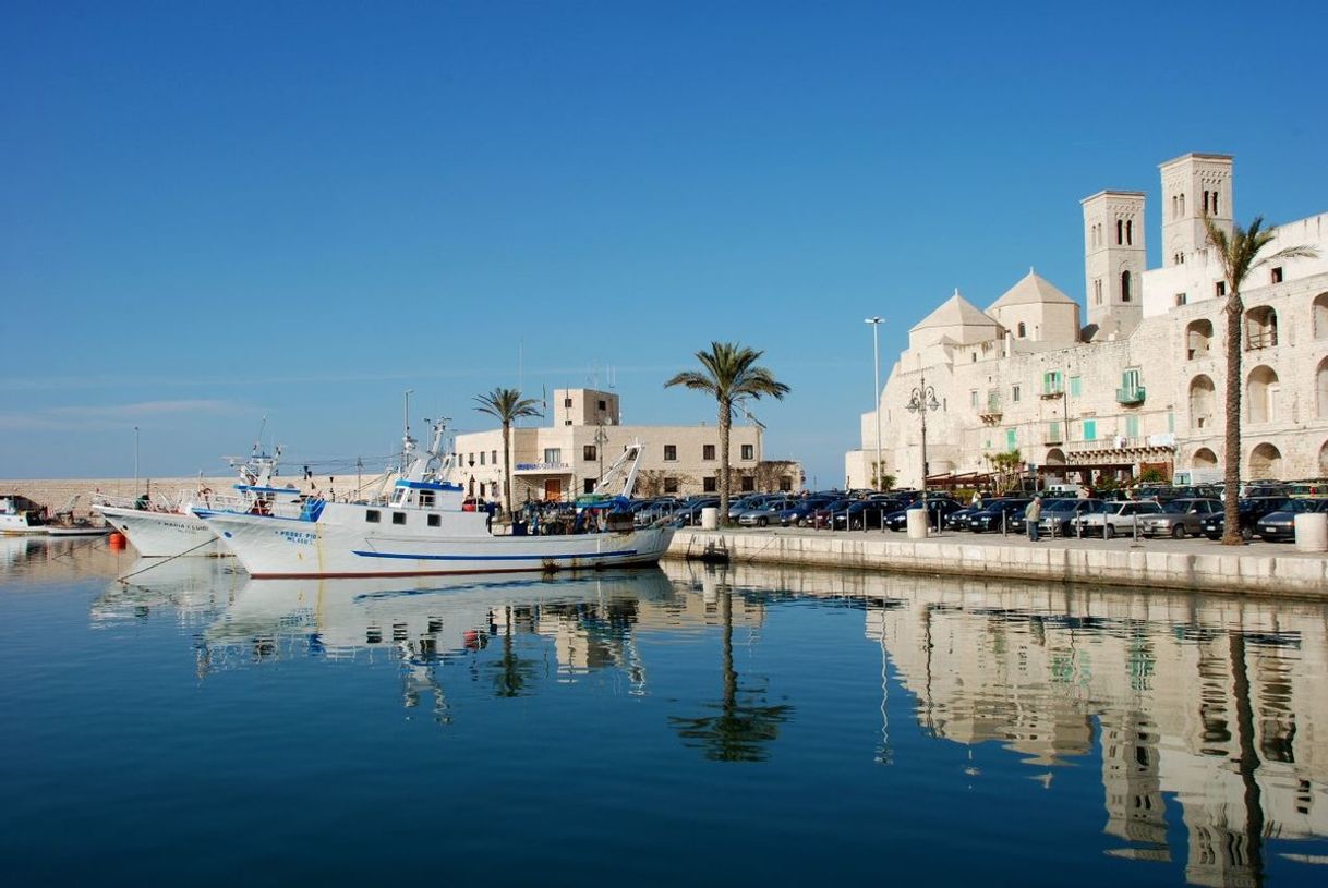 Restaurants Molfetta