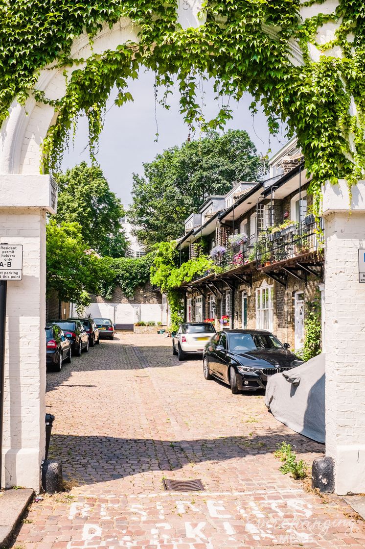 Place Steeles Mews North