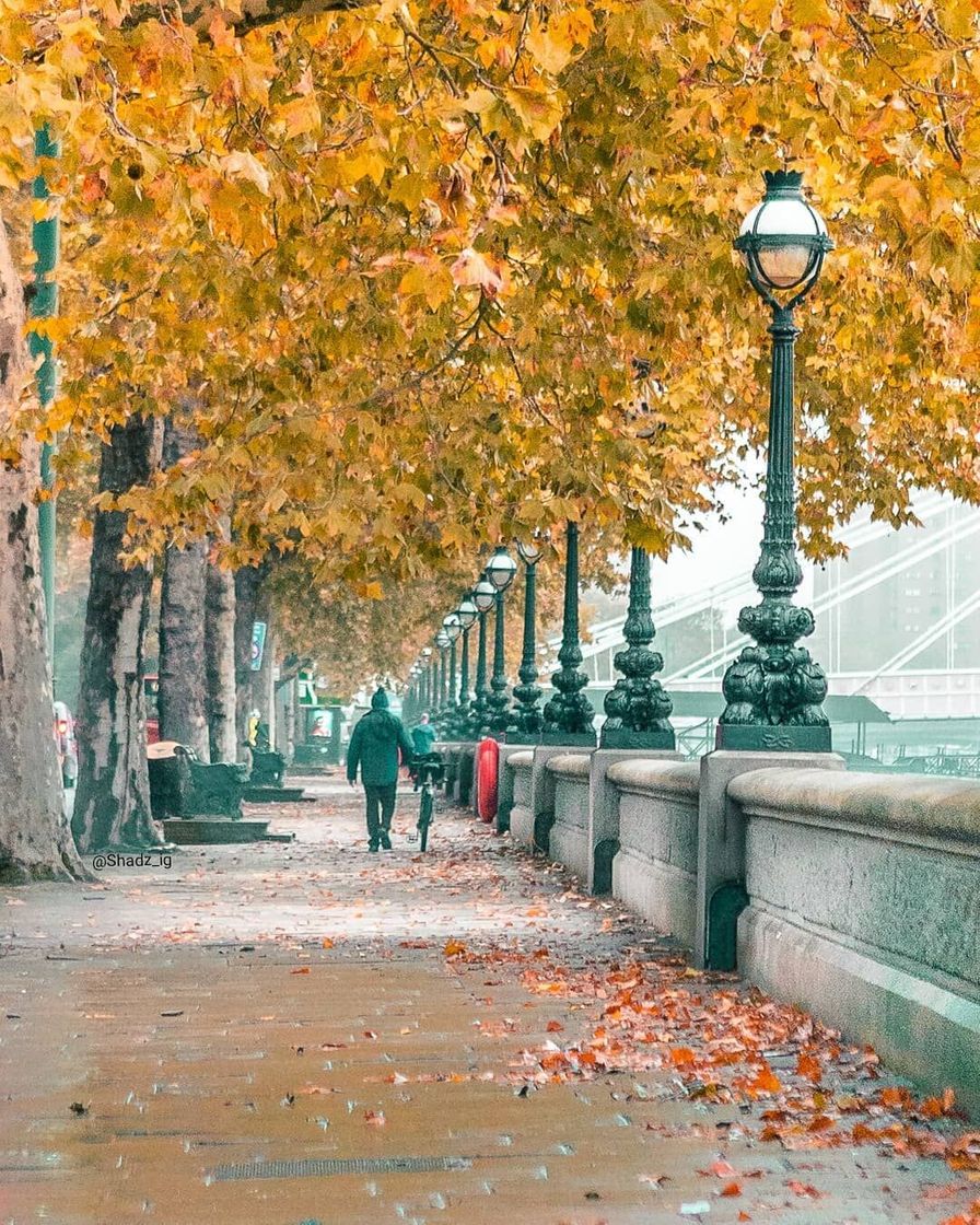 Place Chelsea Embankment