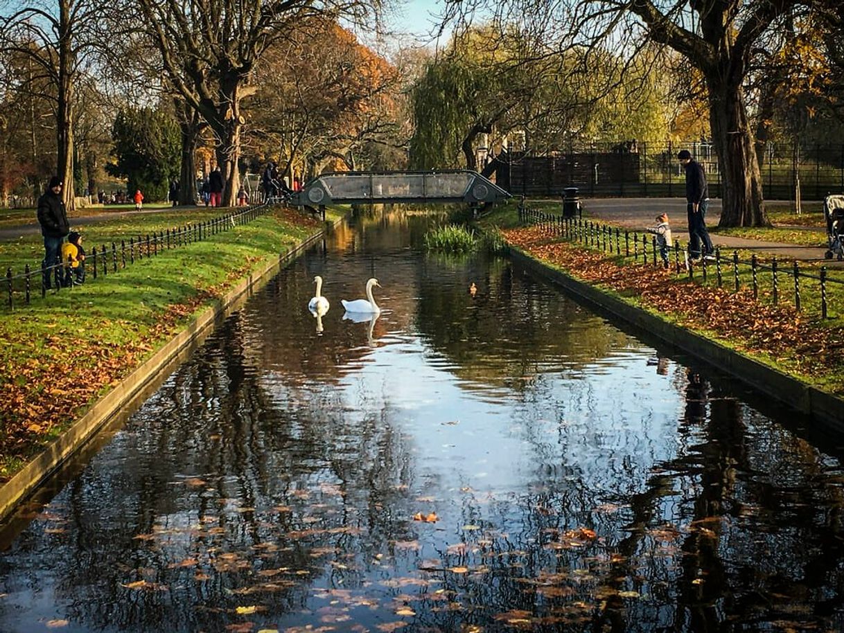 Lugar Clissold Park