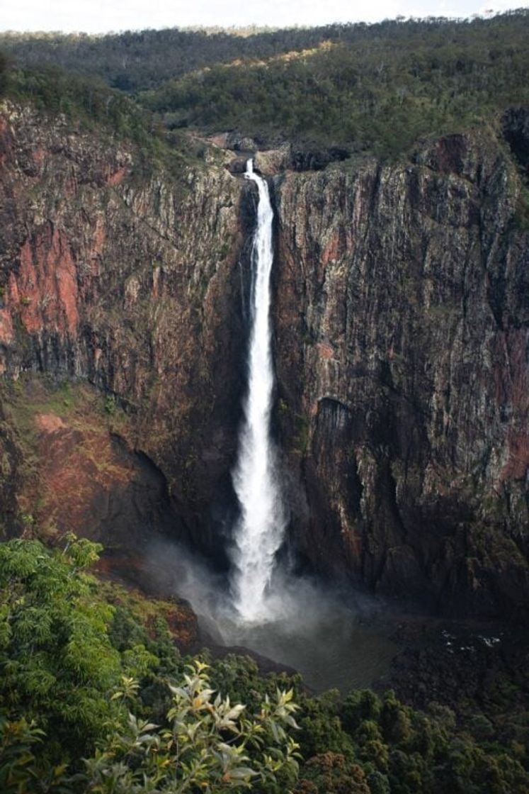 Place Wallaman Falls