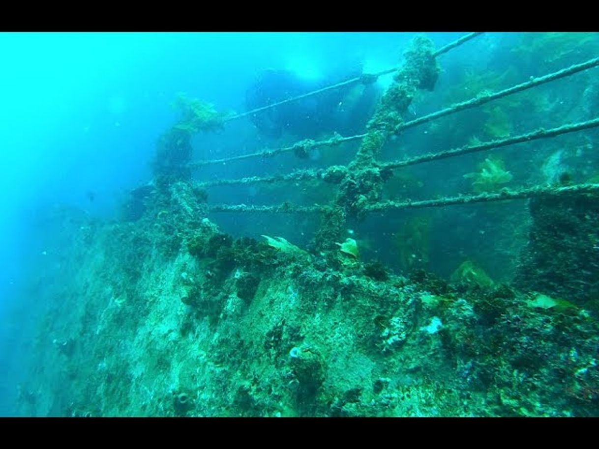 Places Dive The Ex Hmas Canberra