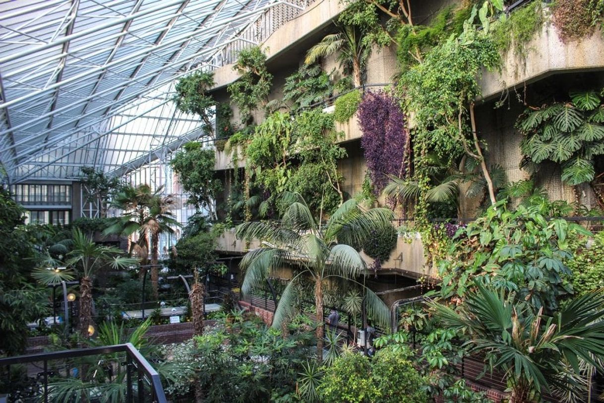 Lugar Barbican Conservatory