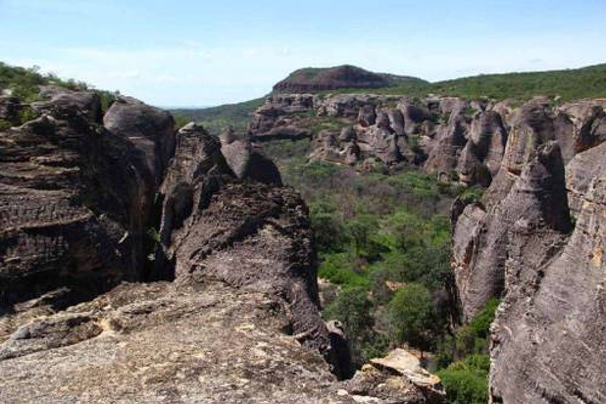 Place Serra da Capivara National Park