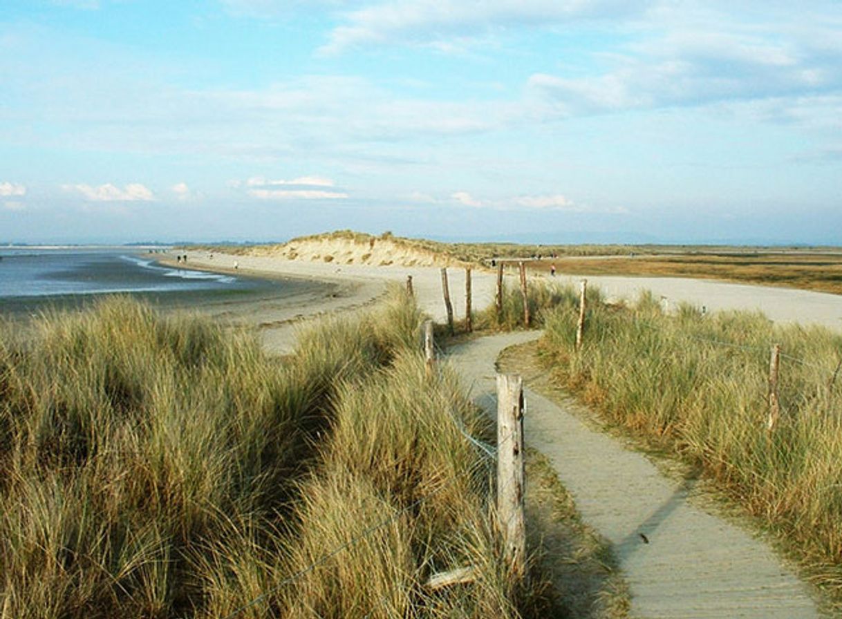 Place National Trust - East Head