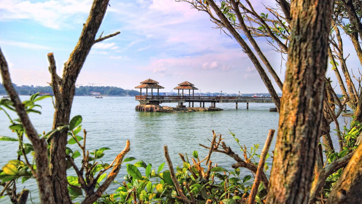 Place Pulau Ubin