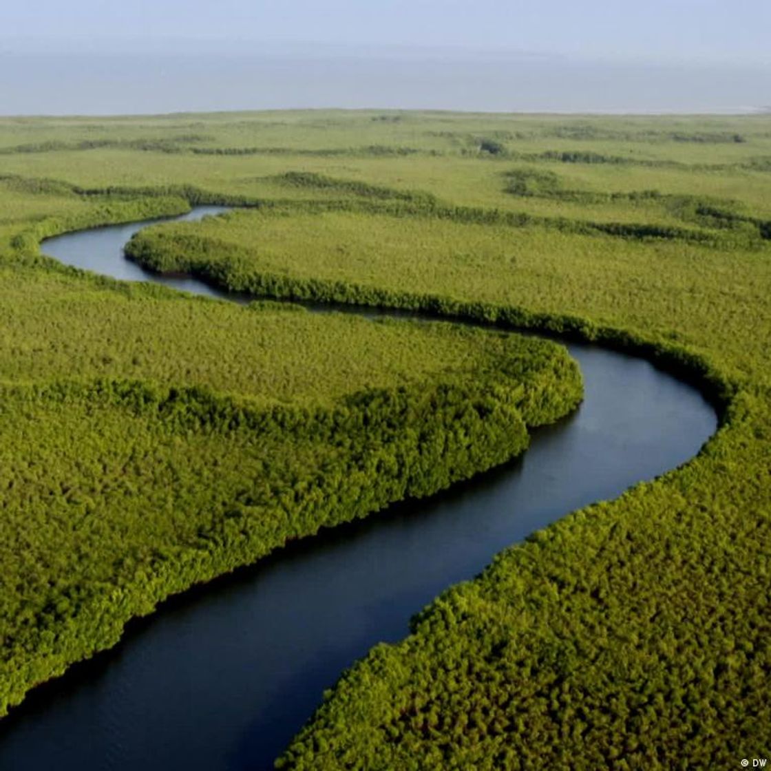 Lugares Gambia River