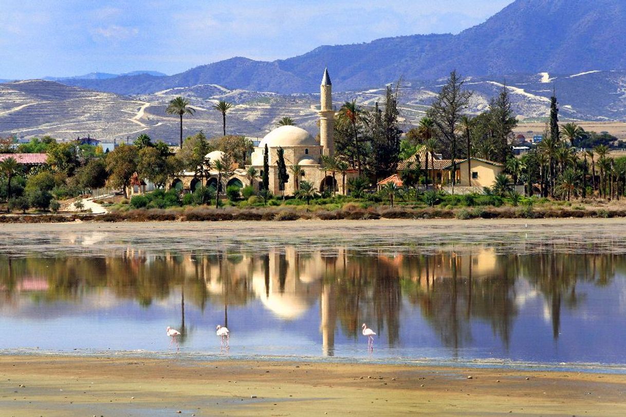 Places Hala Sultan Tekke